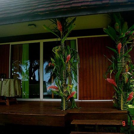 Tauhanihani Village Lodge La Vague Bleue Teahupoo Exterior photo